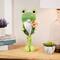 14.5" Standing Spring Gnome with Glittered Frog Hat
